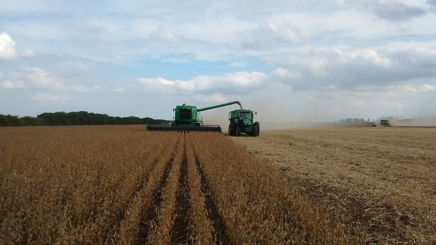 Cosecha de Soja